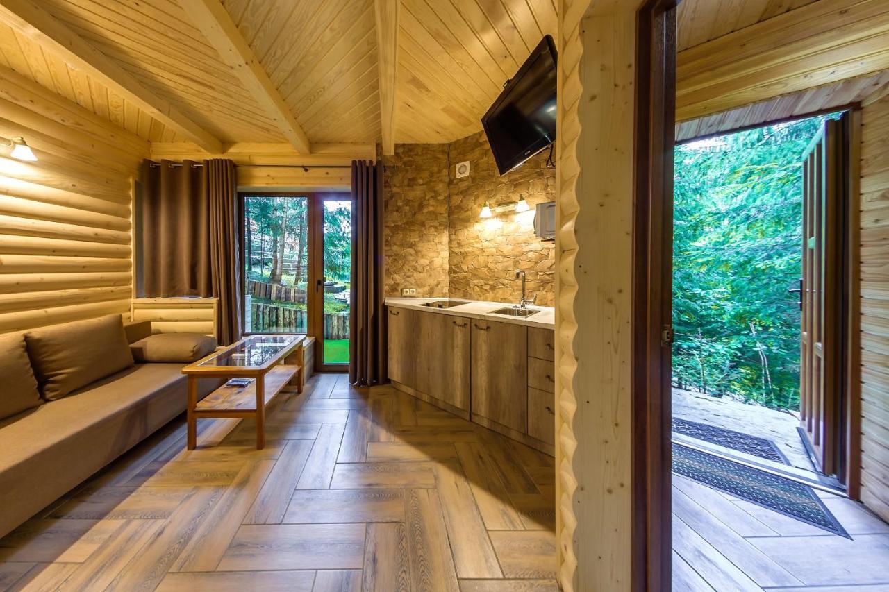 Karpatska Villa 米库利钦 外观 照片