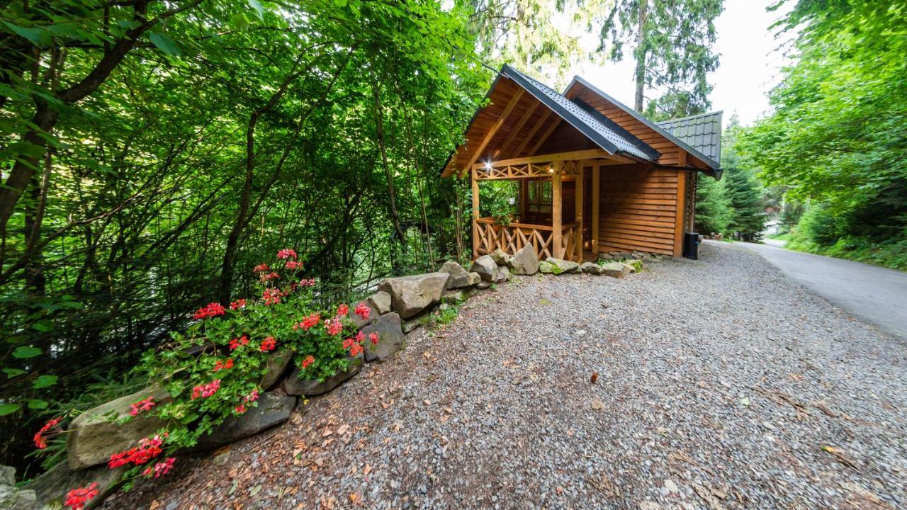 Karpatska Villa 米库利钦 外观 照片