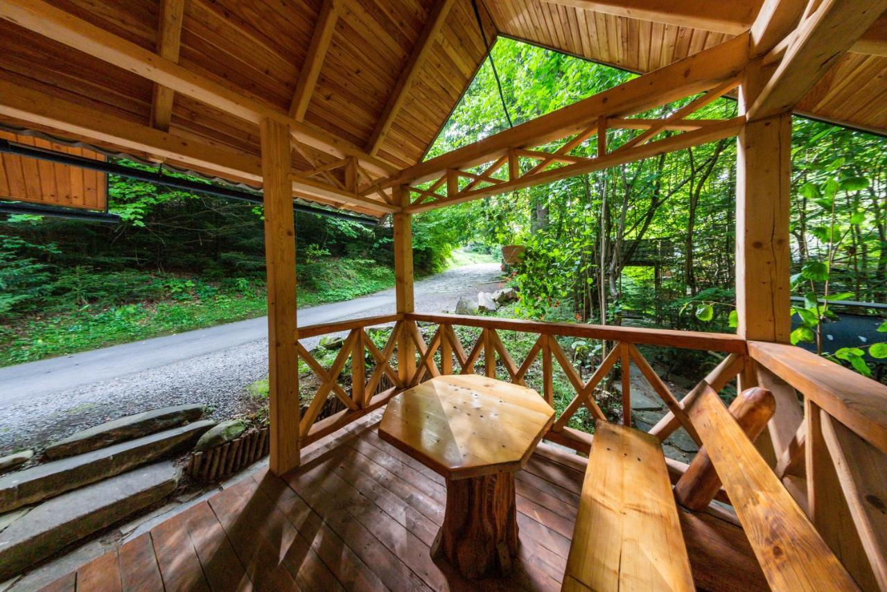 Karpatska Villa 米库利钦 外观 照片